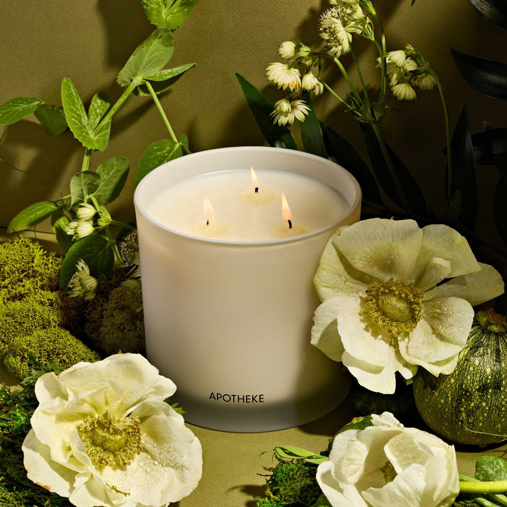 TENDRE×MR.OLIVE×APOTHEKE FRAGRANCE Verdant Garden 3-Wick Candle – APOTHEKE