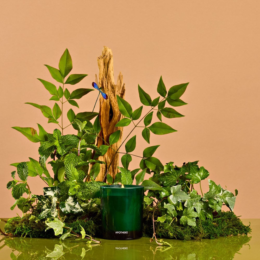 Wild Mint and Ivy Petite Candle – APOTHEKE