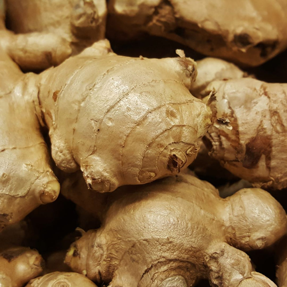 Ginger