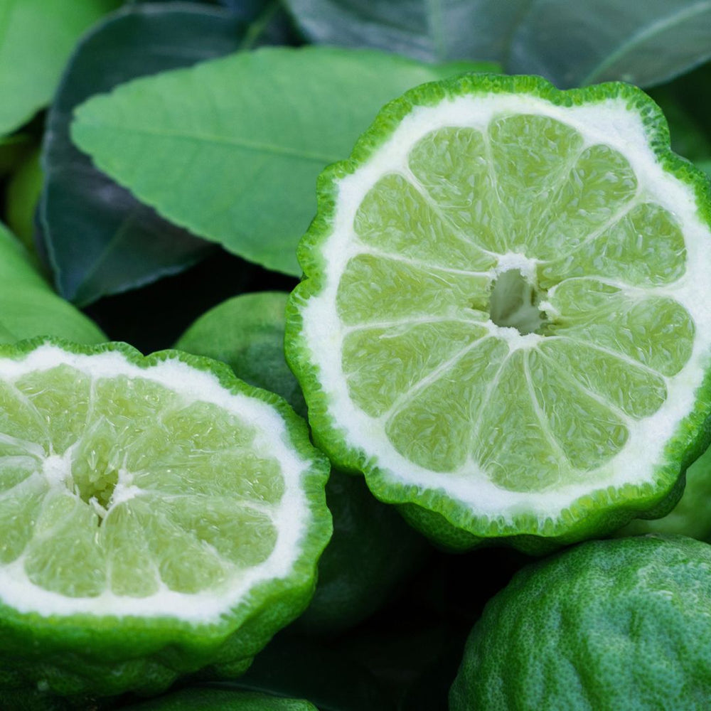 Bergamot