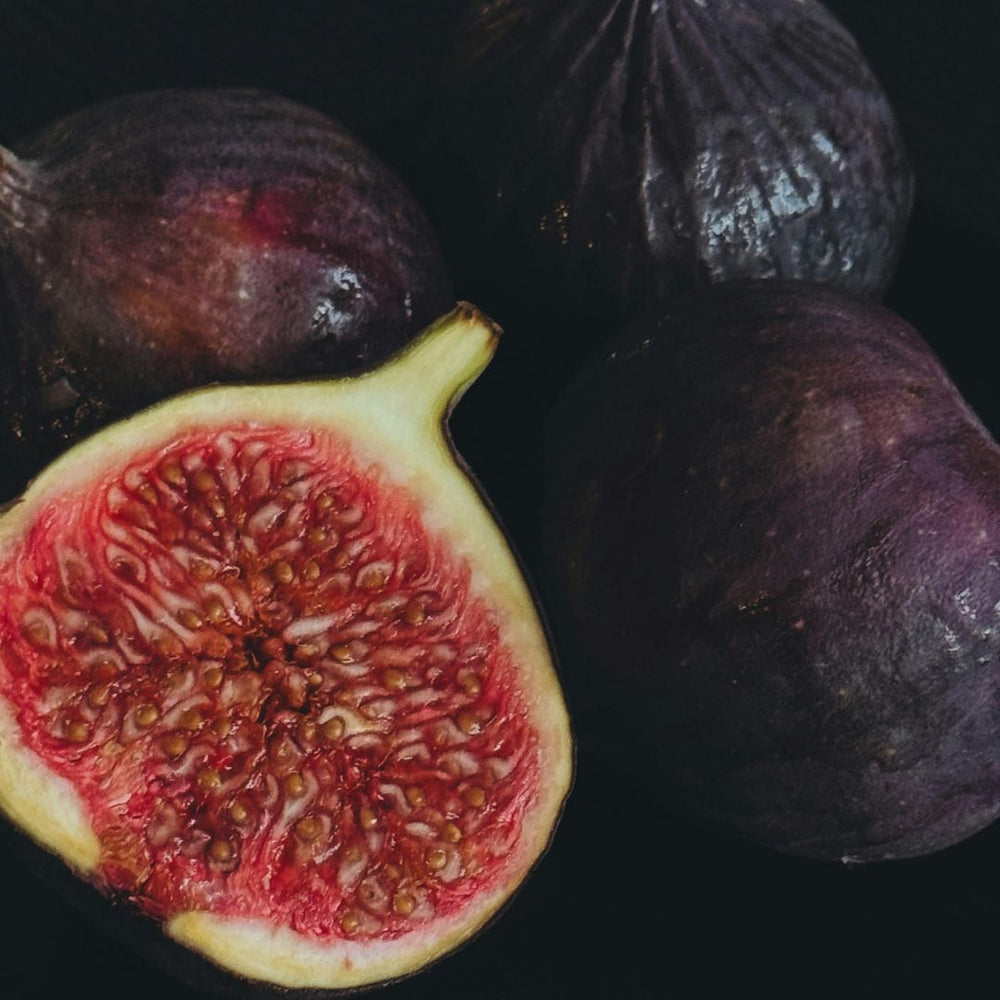 Fig