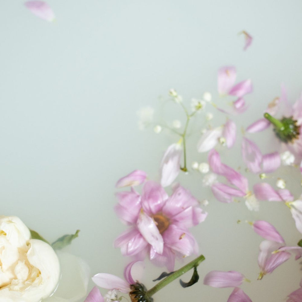 Rose Petals