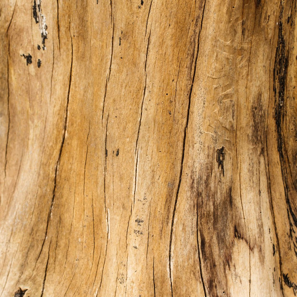 Cedarwood
