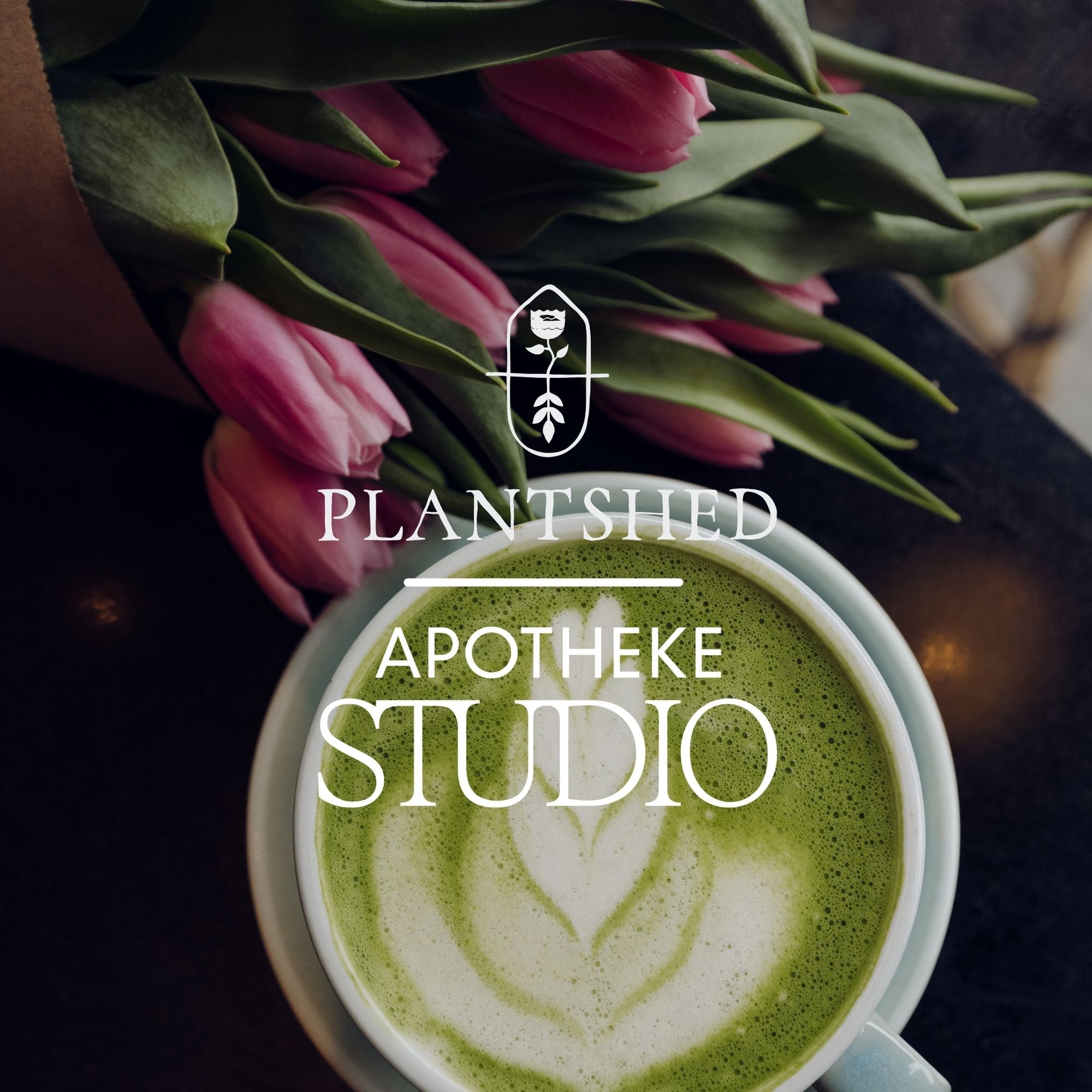 STUDIO Fragrance & Florals Class - A Plant Shed x APOTHEKE Experience