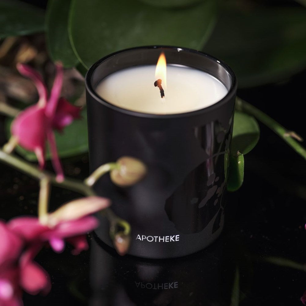 Night Orchid