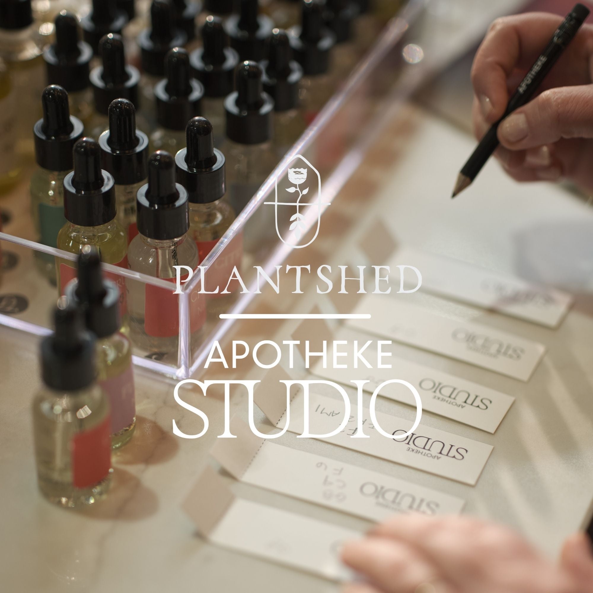 STUDIO Fragrance & Florals Class - A Plant Shed x APOTHEKE Experience