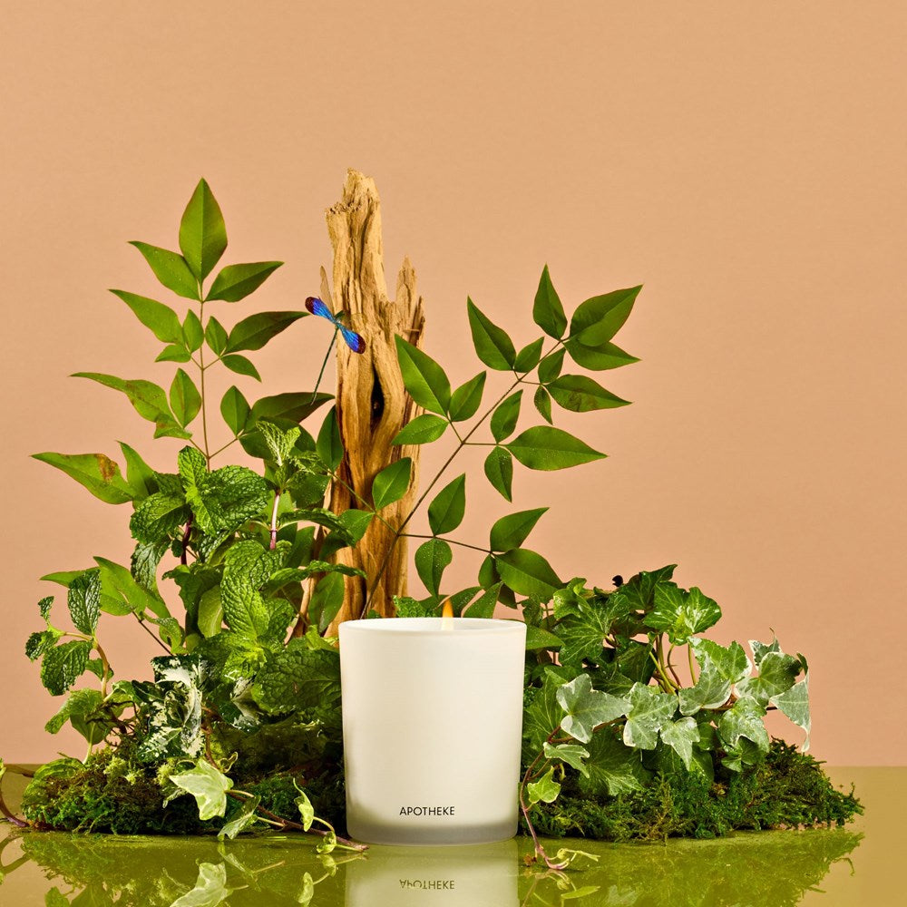 Wild Mint and Ivy Classic Candle – APOTHEKE