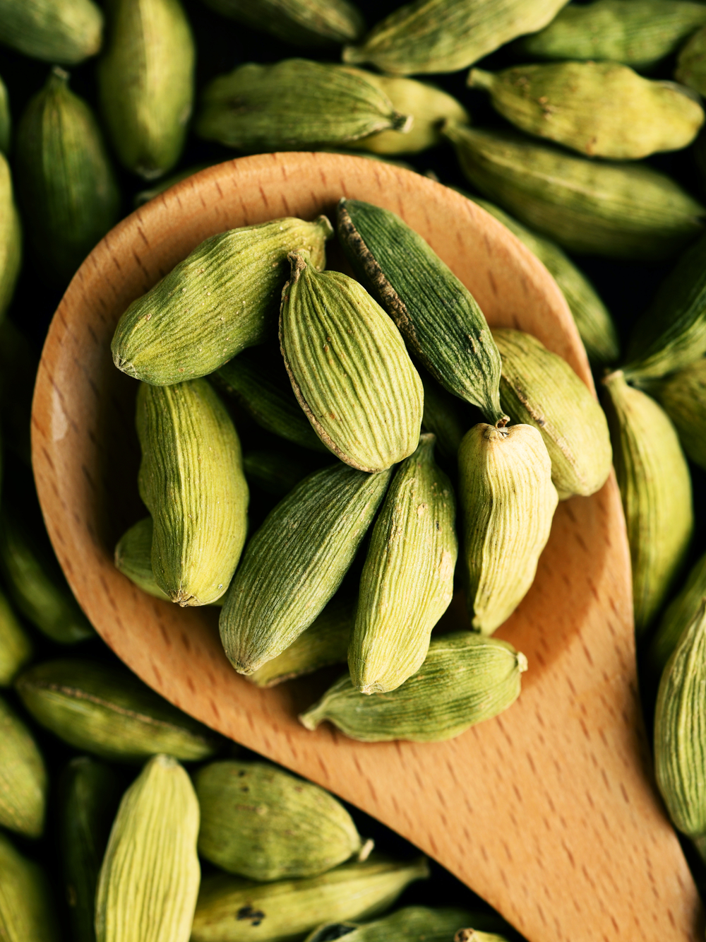 Cardamom