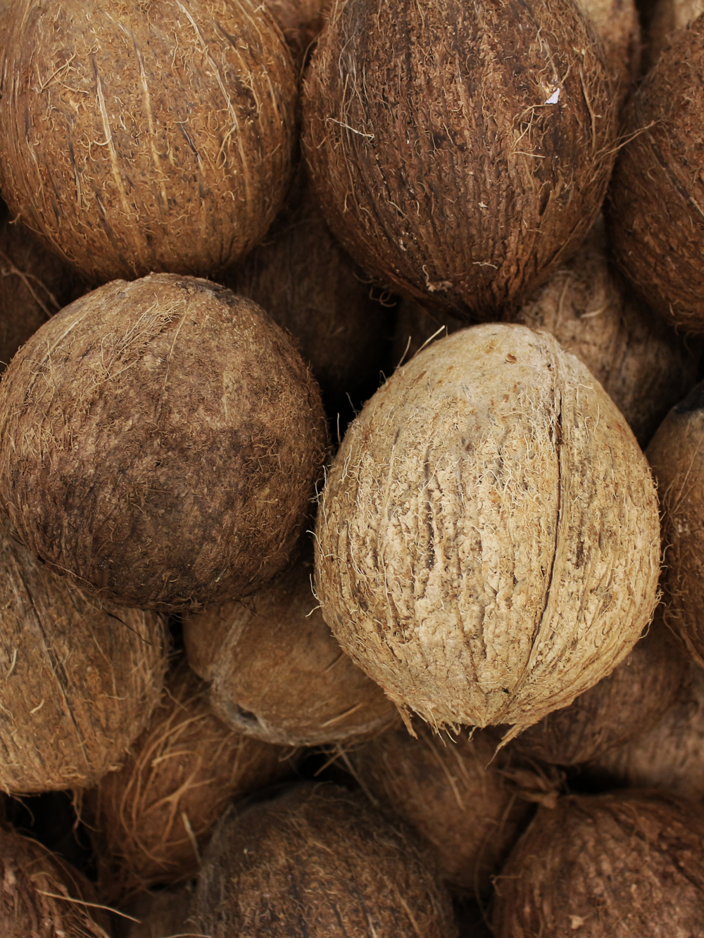 Coconut