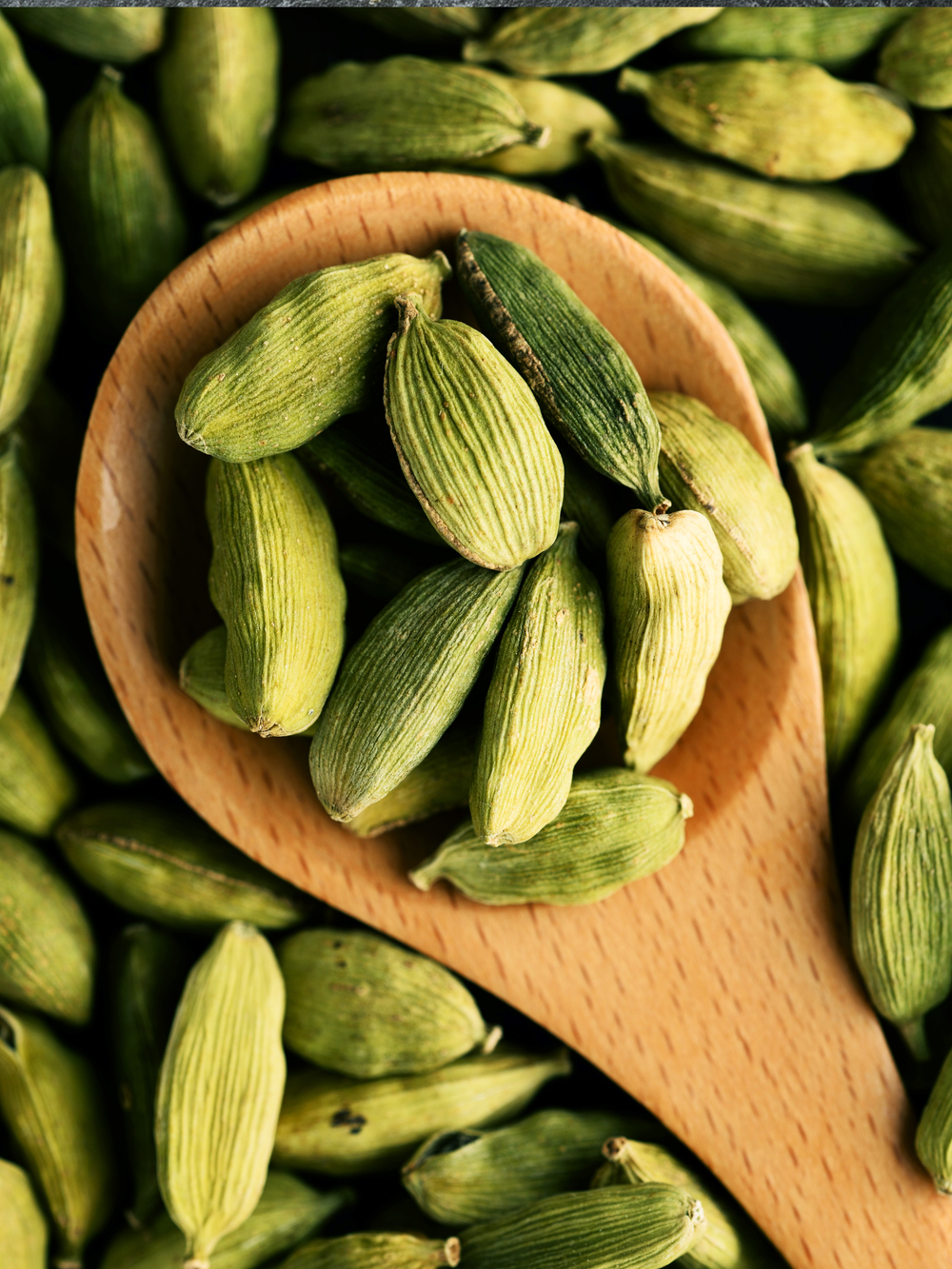 Cardamom