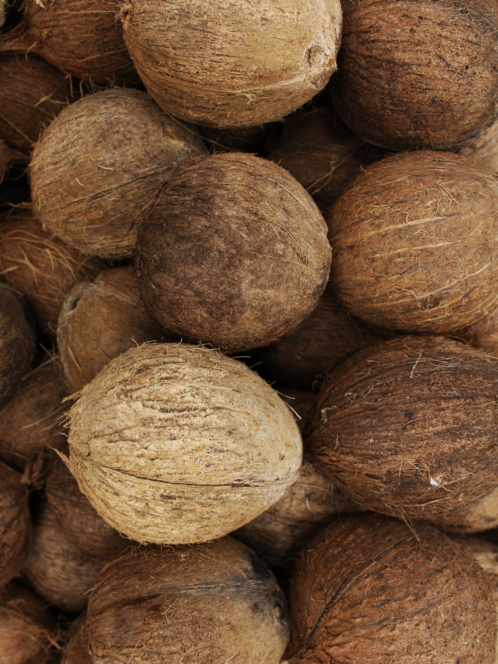 Coconut