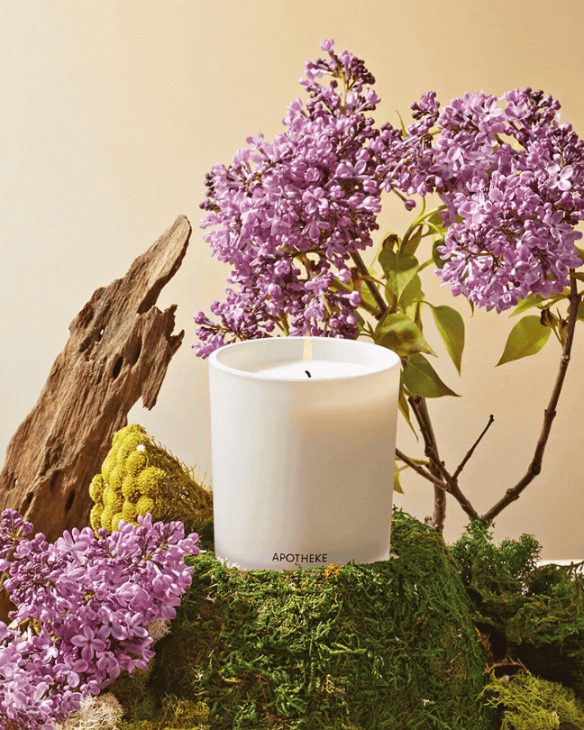 Cedarwood Ginger Candle