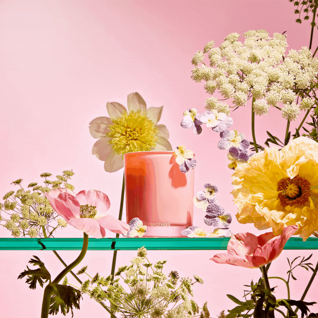 TENDRE×MR.OLIVE×APOTHEKE FRAGRANCE APOTHEKE | Home Fragrances To Elevate Your Everyday | Scented Candles